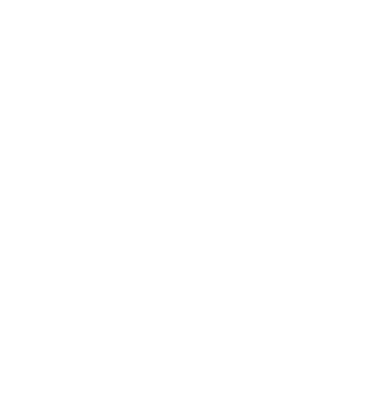 Financing support